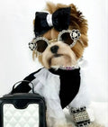 Coco Chewnel Rhinestone Dog Sunglasses | Fashion Pet Eyewear