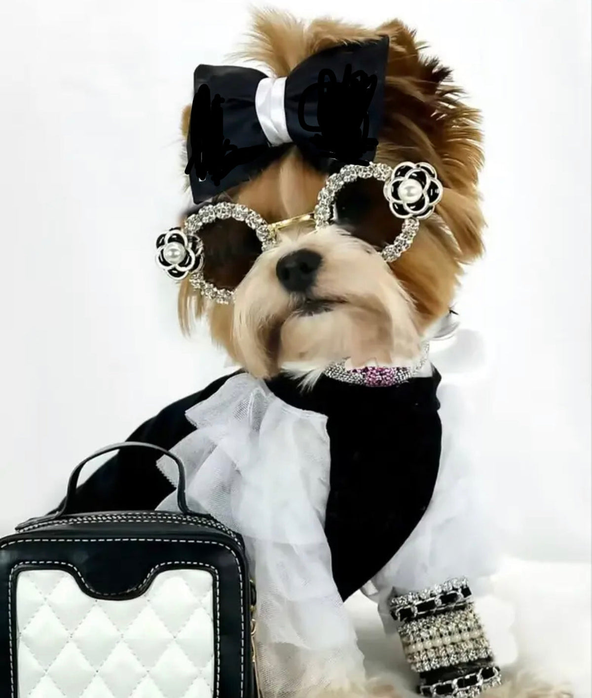 Coco Chewnel Rhinestone Dog Sunglasses | Fashion Pet Eyewear