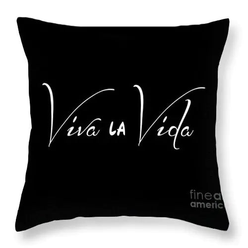 Nordic Style Black and White Velvet Pillow Covers