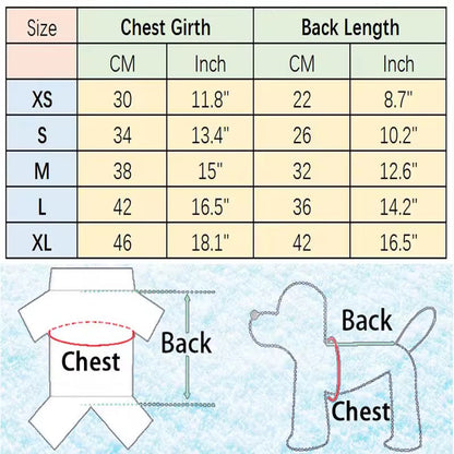 Angel Wings Dog Harness and Leash Set | Dog Walking Set