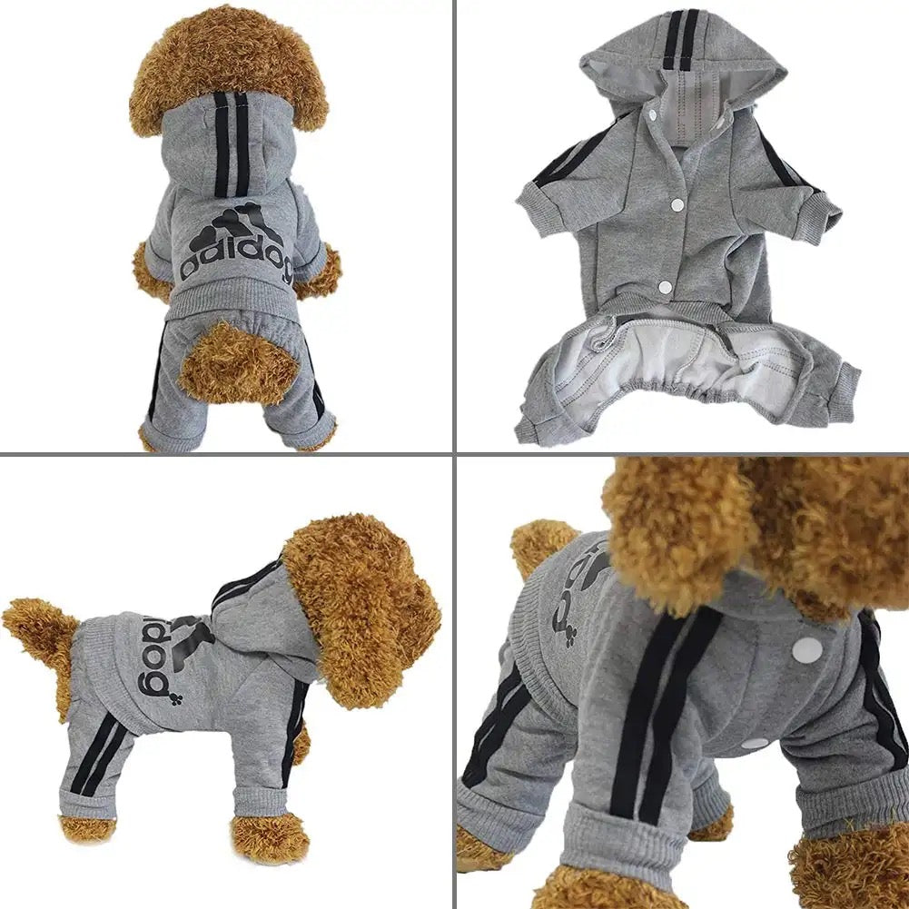 Dog Hoodie Pants Set | Adidog Dog Outfit Set