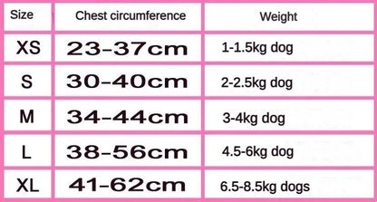 Chewnel Harness Set | Dog Harness Leash Set