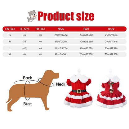 Merry Christmas Dog Holiday Dress | Festive Outfit
