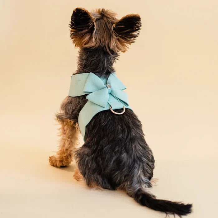 Rhinestone Dog Harness & Leash Set
