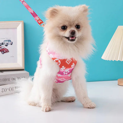Chewy Vuittawn Dog Harness & Leash Set
