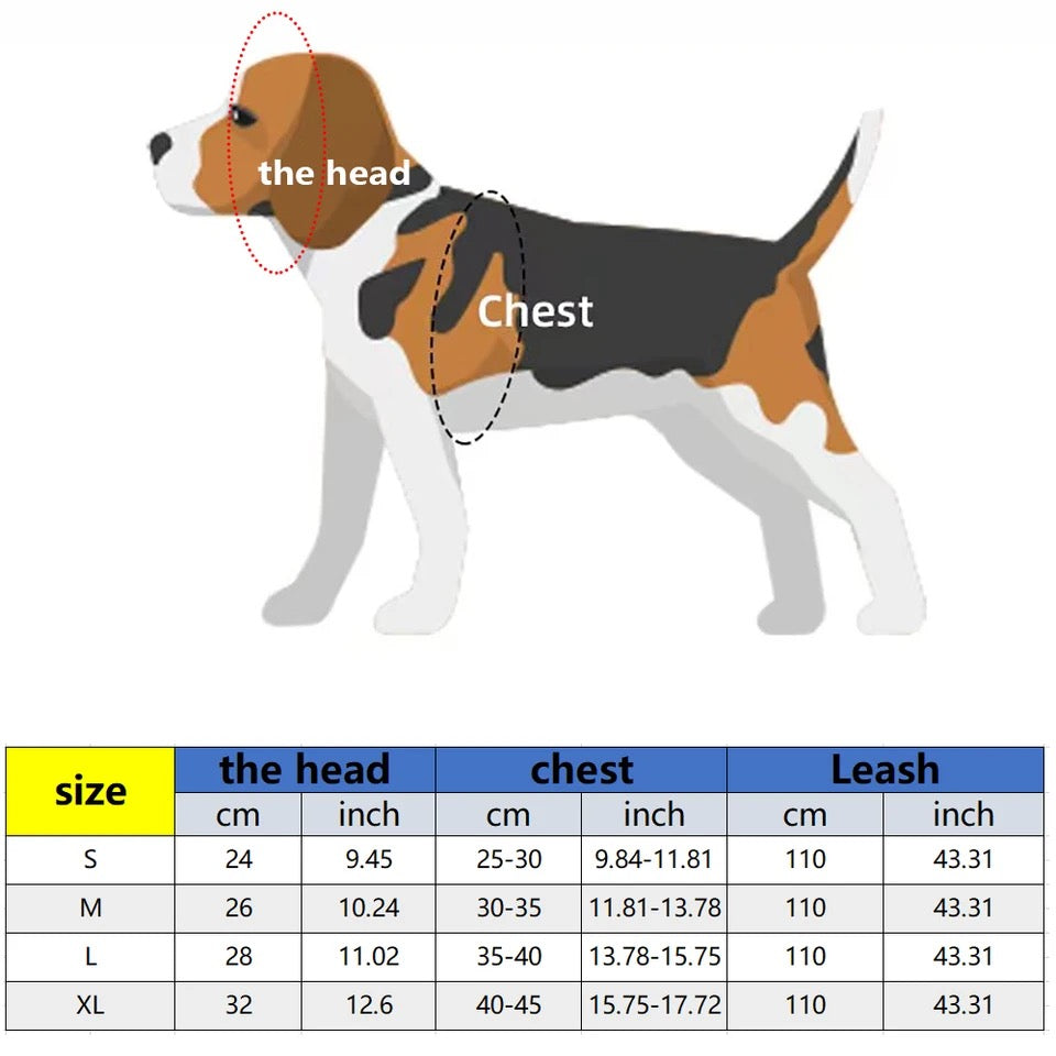 Chewy Vuittawn Dog Harness & Leash Set