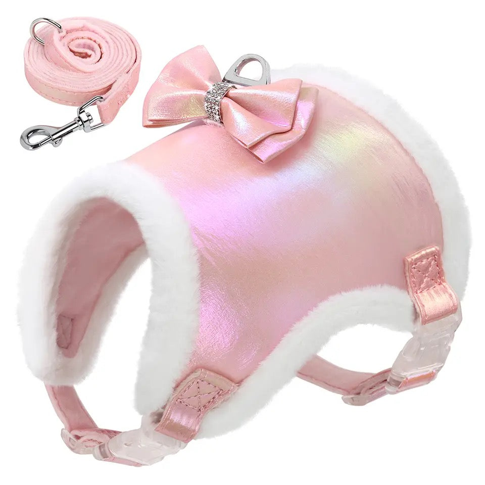 Waterproof Bow Dog Harness & Leash Set