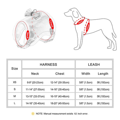 Waterproof Bow Dog Harness & Leash Set