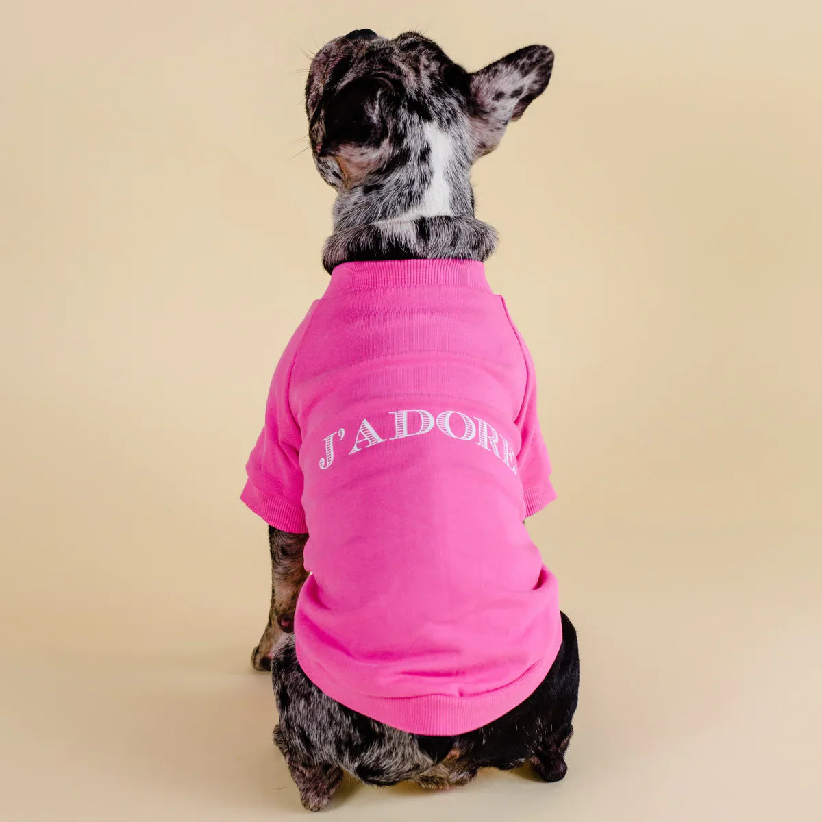 J’adore Dog Pullover – Luxury Knit Sweater for Dogs
