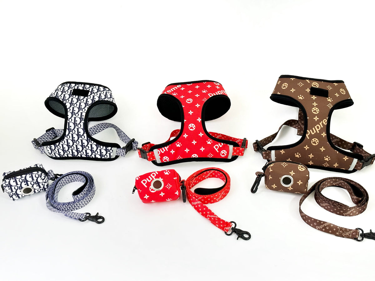 Drippy Leash and Harness Set – Luxury Streetwear Walking Set for Dogs