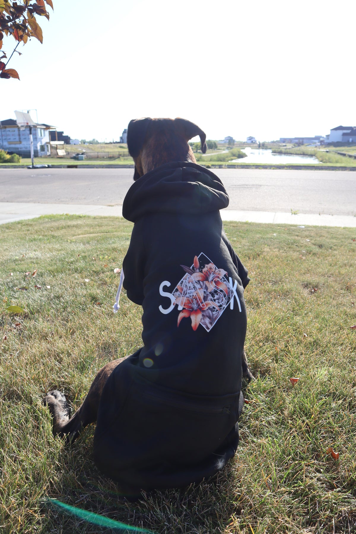 SASK Diamond Lily Dog Hoodie
