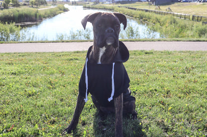 SASK Diamond Lily Dog Hoodie