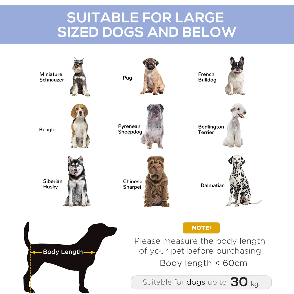 Elevated Dog Bed, Raised Dog Cot for M Sized Dogs, Indoor & Outdoor, 30" x 24" x 7", Blue