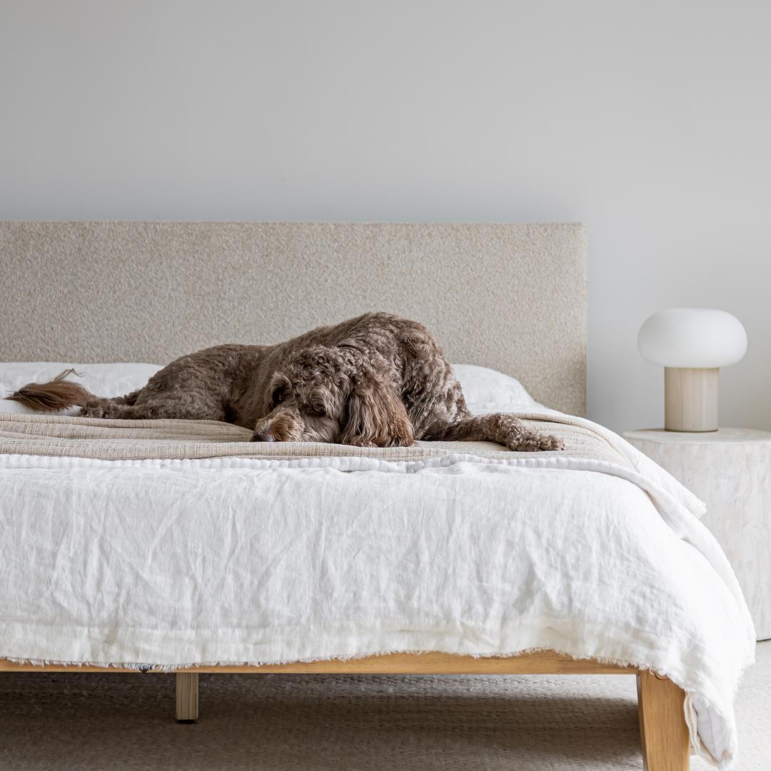 Luna Tool Free Upholstered Queen Bed - Beige