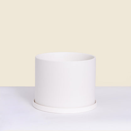 Medium White Pot with Saucer