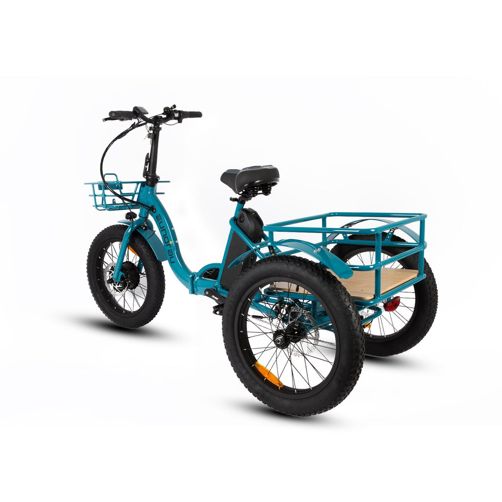 NEW-TRIKE 1.0