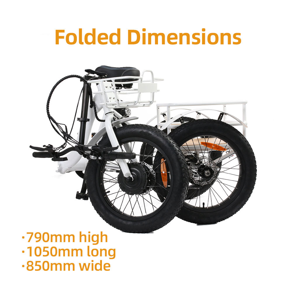 NEW-TRIKE 1.0