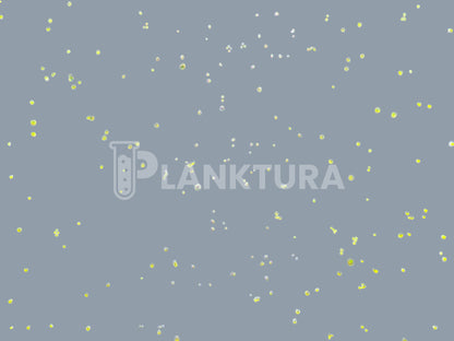 Nannochloropsis Live Phytoplankton - Coral Shots