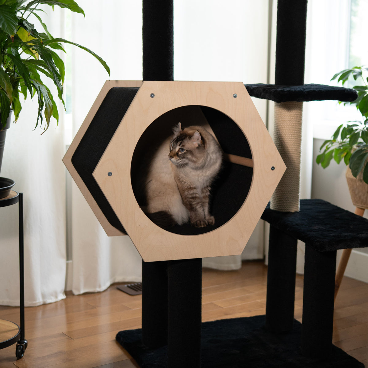 Hexagon House - 4-Level Cat Tree