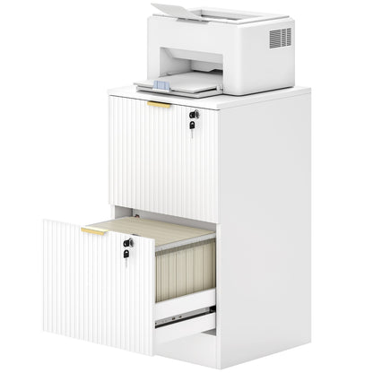 Lockable Filing Cabinet with 2 Fluted Drawers, File Cabinet with Adjustable Hanging Rails for A4 Letter Files, Black