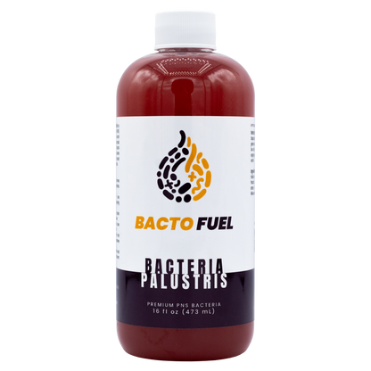 Palustris Live Bacteria - Bacto Fuel