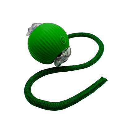 Vibrating Bouncing Ball – Interactive Toy for Cats & Dogs