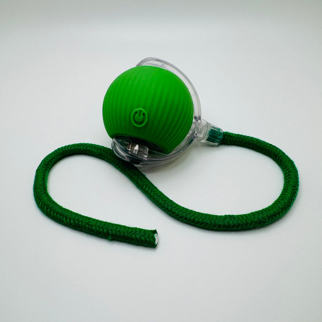 Vibrating Bouncing Ball – Interactive Toy for Cats & Dogs