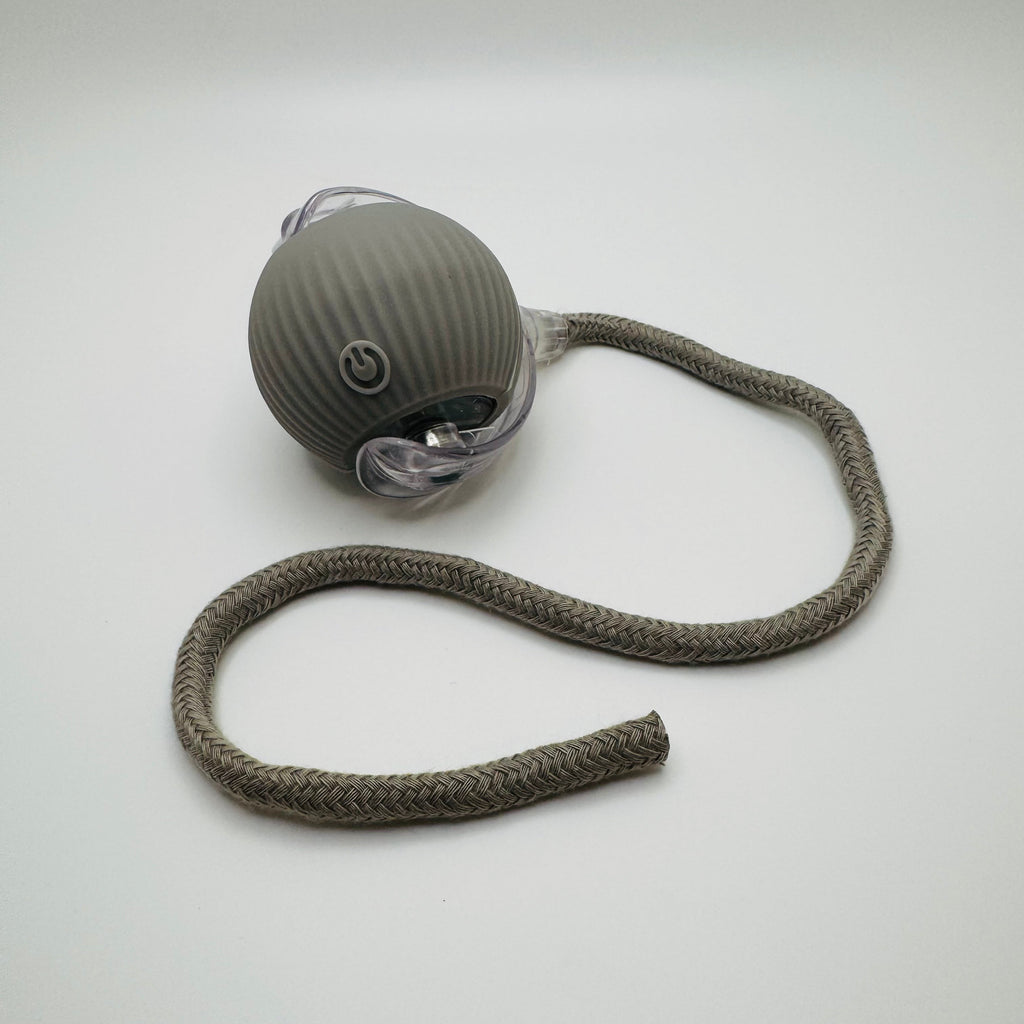 Vibrating Bouncing Ball – Interactive Toy for Cats & Dogs