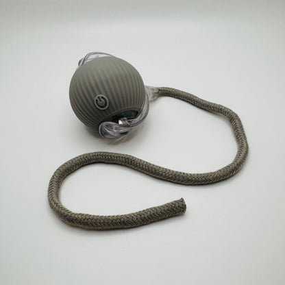 Vibrating Bouncing Ball – Interactive Toy for Cats & Dogs