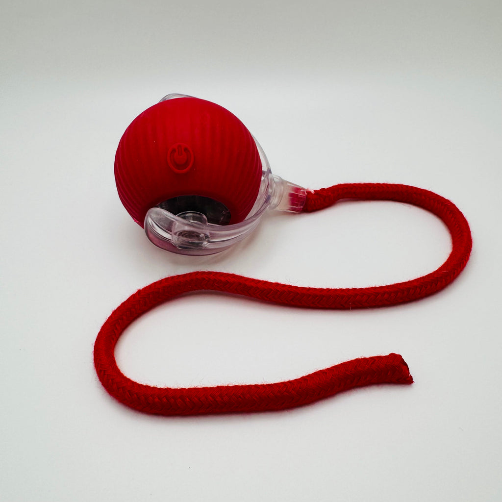 Vibrating Bouncing Ball – Interactive Toy for Cats & Dogs