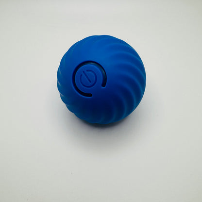Vibrating Dog Ball Toy for Dogs & Cats – Interactive Bouncing
