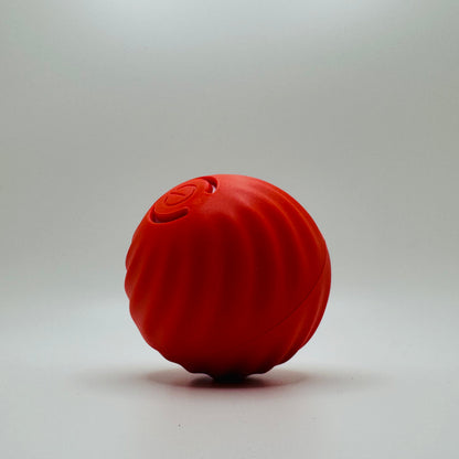 Vibrating Dog Ball Toy for Dogs & Cats – Interactive Bouncing