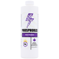 Phosphorize