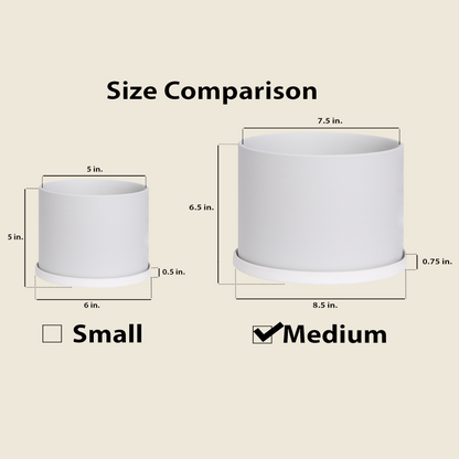 Medium Stone Pot with Saucer