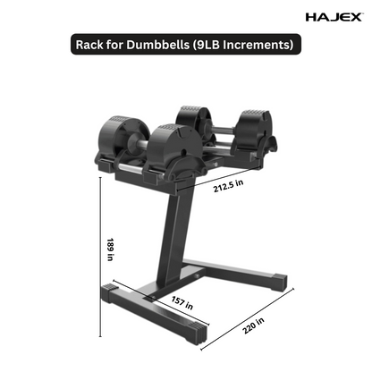 NUO Style Dumbbell Stand