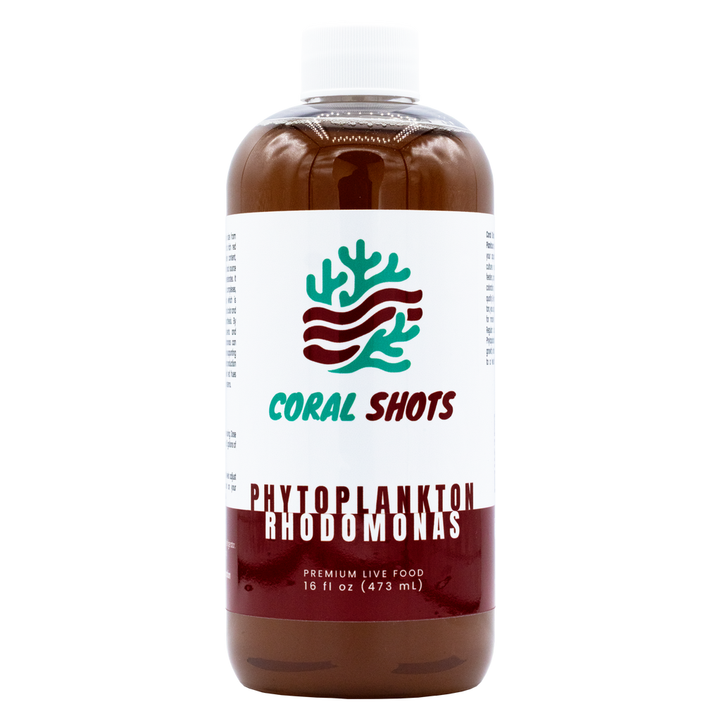 Rhodomonas Live Phytoplankton - Coral Shots