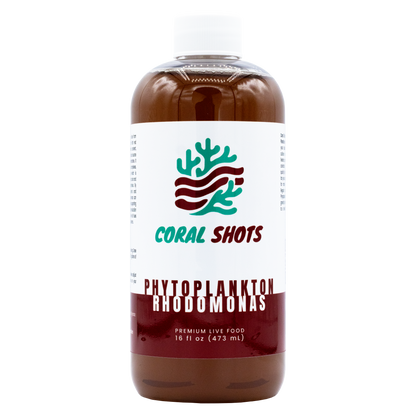 Rhodomonas Live Phytoplankton - Coral Shots