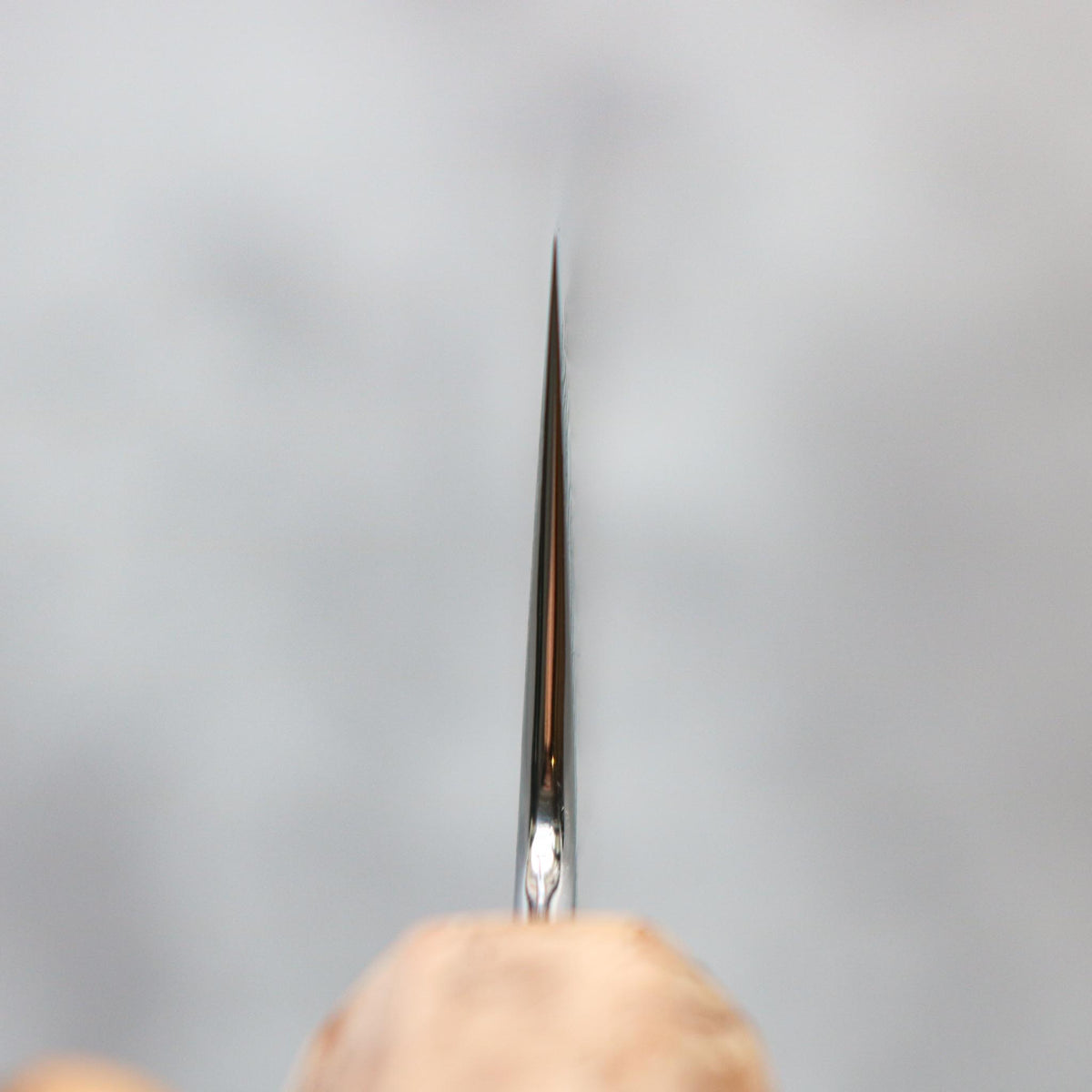Ryusen Hamono Fukaku-ryu Sujihiki 270 mm