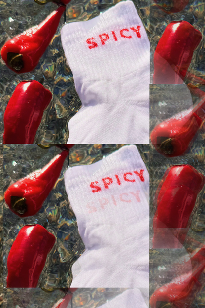 Spicy Quarter Running Socks (2Pack)