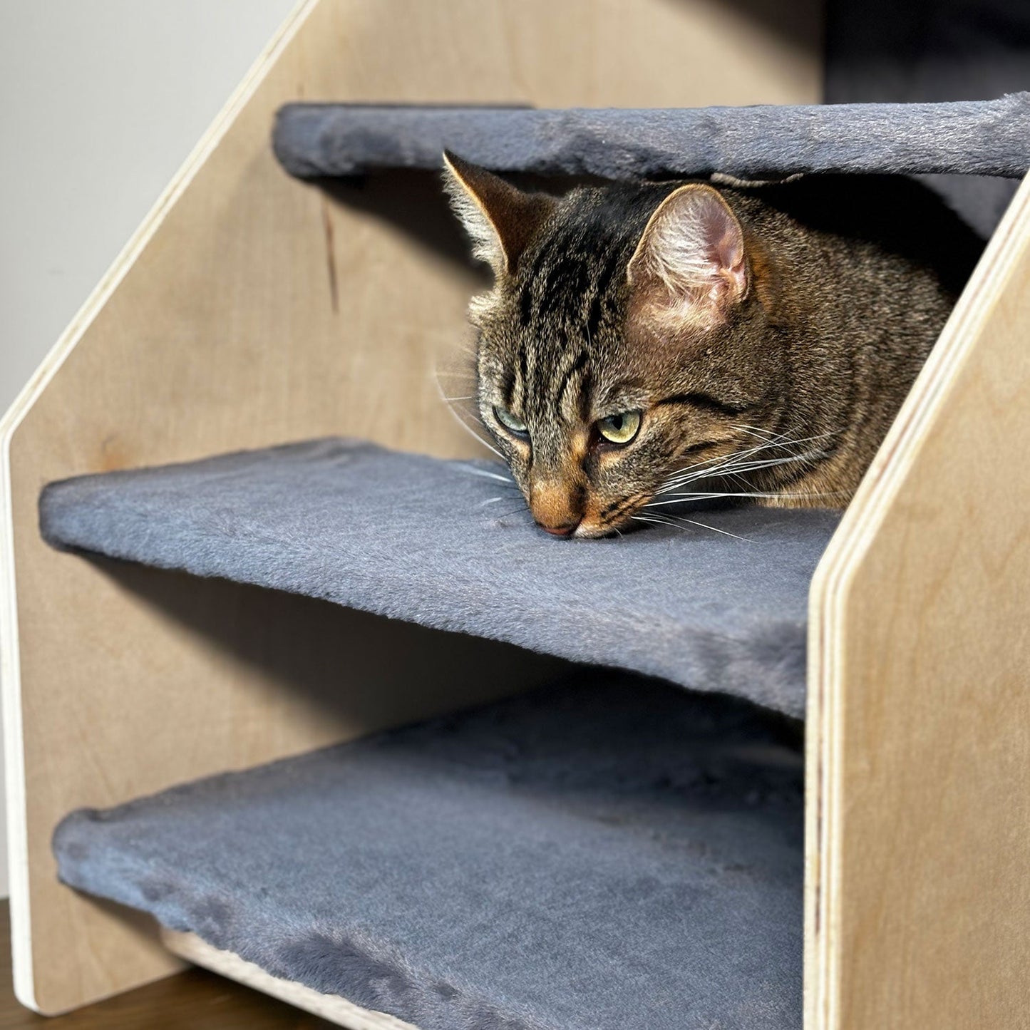 The Stairs Hideout