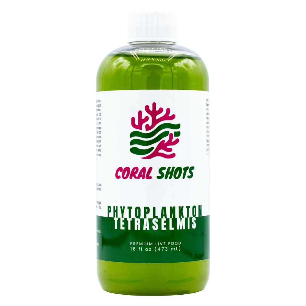 Tetraselmis Live Phytoplankton - Coral Shots