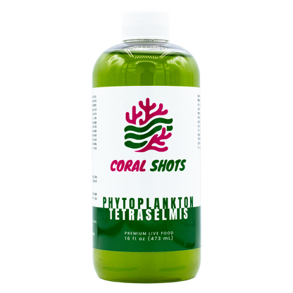 Tetraselmis Live Phytoplankton - Coral Shots