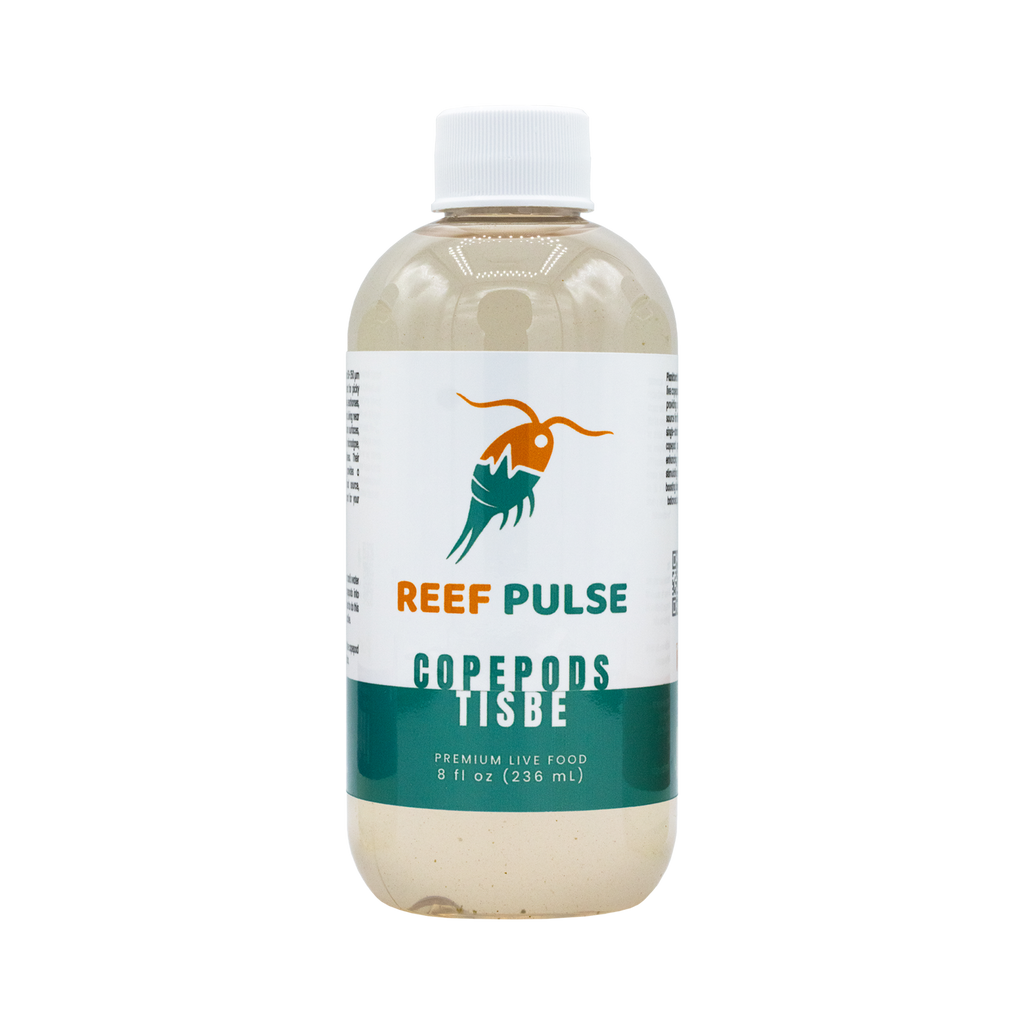 Tisbe Live Copepods - Reef Pulse
