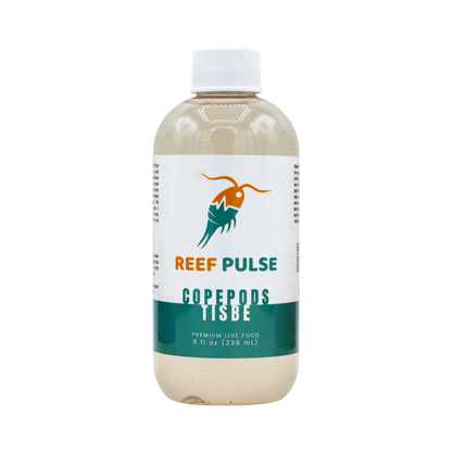 Tisbe Live Copepods - Reef Pulse