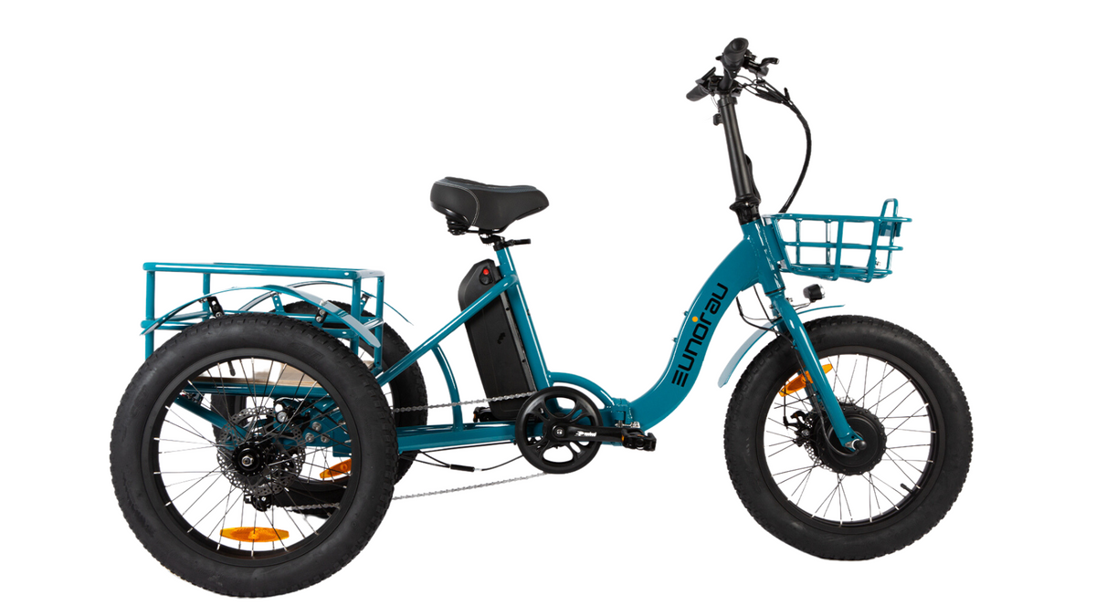 NEW-TRIKE 1.0