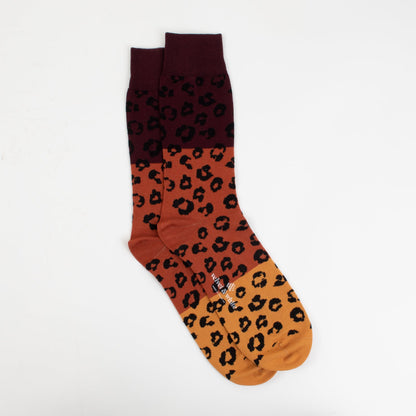 Late Night Leopard