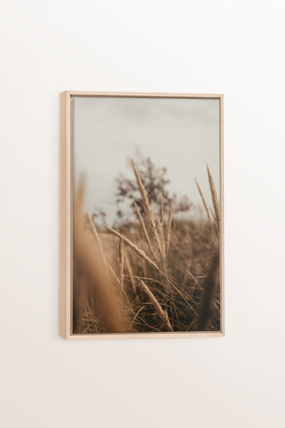WHEAT, Oeuvre sur toile étirée