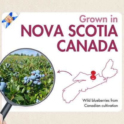 Wild Blueberry Powder 150 g - Made in Canada