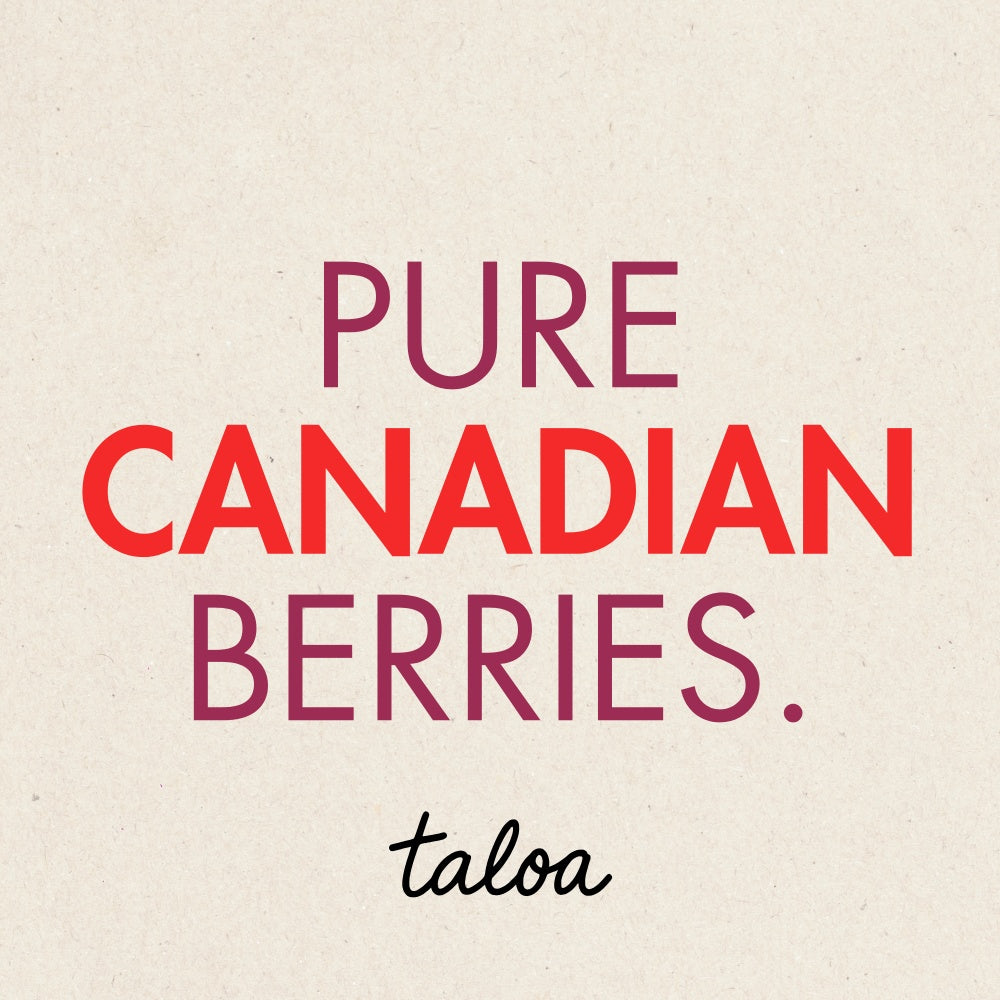 Wild Blueberry Powder 150 g - Made in Canada