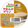 ハウス食品 やさしくラクケア やわらかプリン カスタード味 63g×48個入【日本出荷】